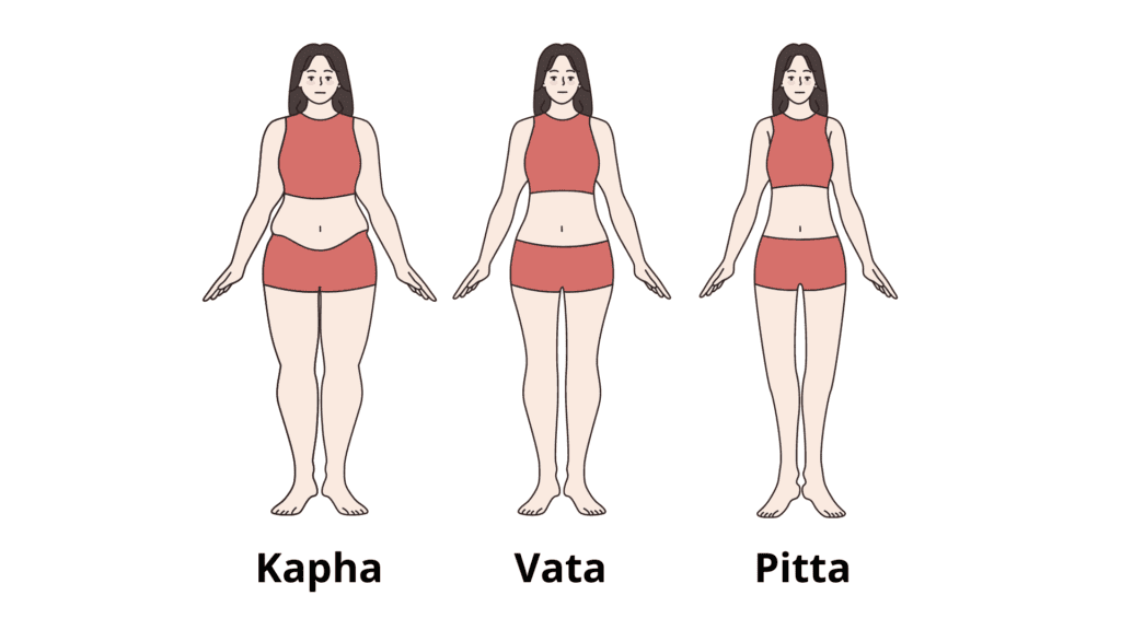 3 metabolismos kapha, vata y pitta